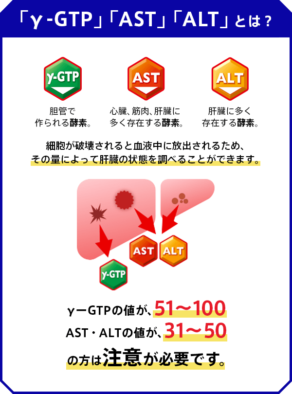 「γ-GTP」「AST」「ALT」とは？γ-GTP 胆管で作られる酵素。AST 心臓、筋肉、肝臓に多く存在する酵素。 ALT 肝臓に多く存在する酵素。細胞が破壊されると血液中に放出されるため、その量によって肝機能を調べることができます。γーGTPの値が、51～100 AST・ALTの値が、31～50の方は、注意が必要です。