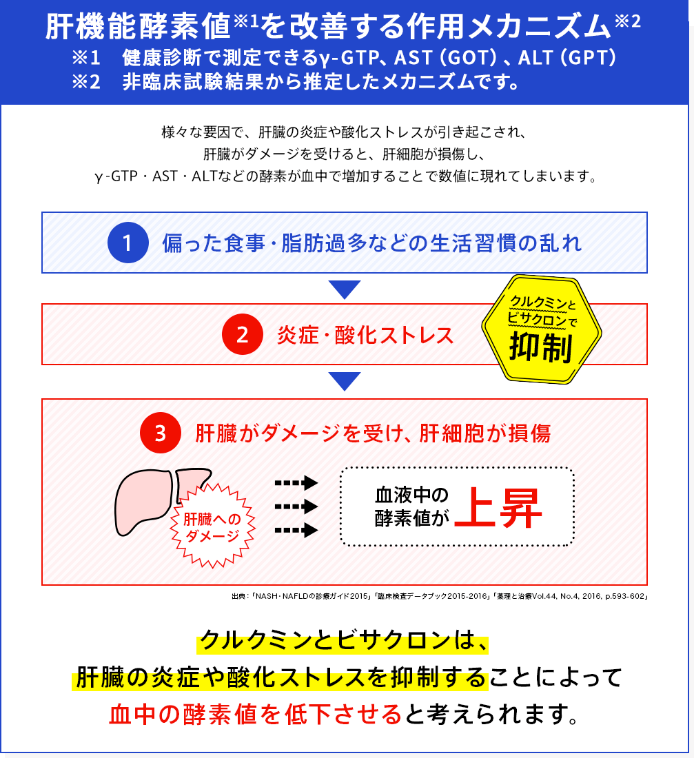 肝機能酵素値※1を改善する作用メカニズム※2 ※1 健康診断で測定できるγ-GTP、AST（GOT）、ALT（GPT） ※2 非臨床試験の結果から推定したメカニズムです。 様々な要因で、肝臓の炎症や酸化ストレスが引き起こされ、肝臓がダメージを受けると、肝細胞が損傷し、γ-GTP・AST・ALTなどの酵素が血中で増加することで数値に現れてしまいます。1 偏った食事・脂肪過多などの生活習慣の乱れ 2 炎症・酸化ストレス 3 肝臓がダメージを受け、肝細胞が損傷 クルクミンとビサクロンは、肝臓の炎症や酸化ストレスを抑制することによって血中の酵素値を低下させると考えられます。