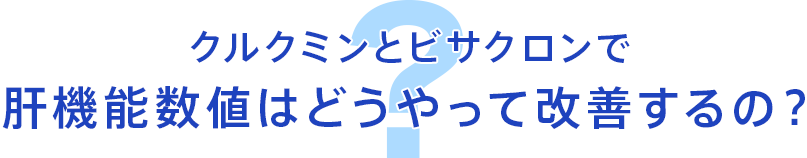 クルクミンとビサクロンで肝機能数値はどうやって改善するの？