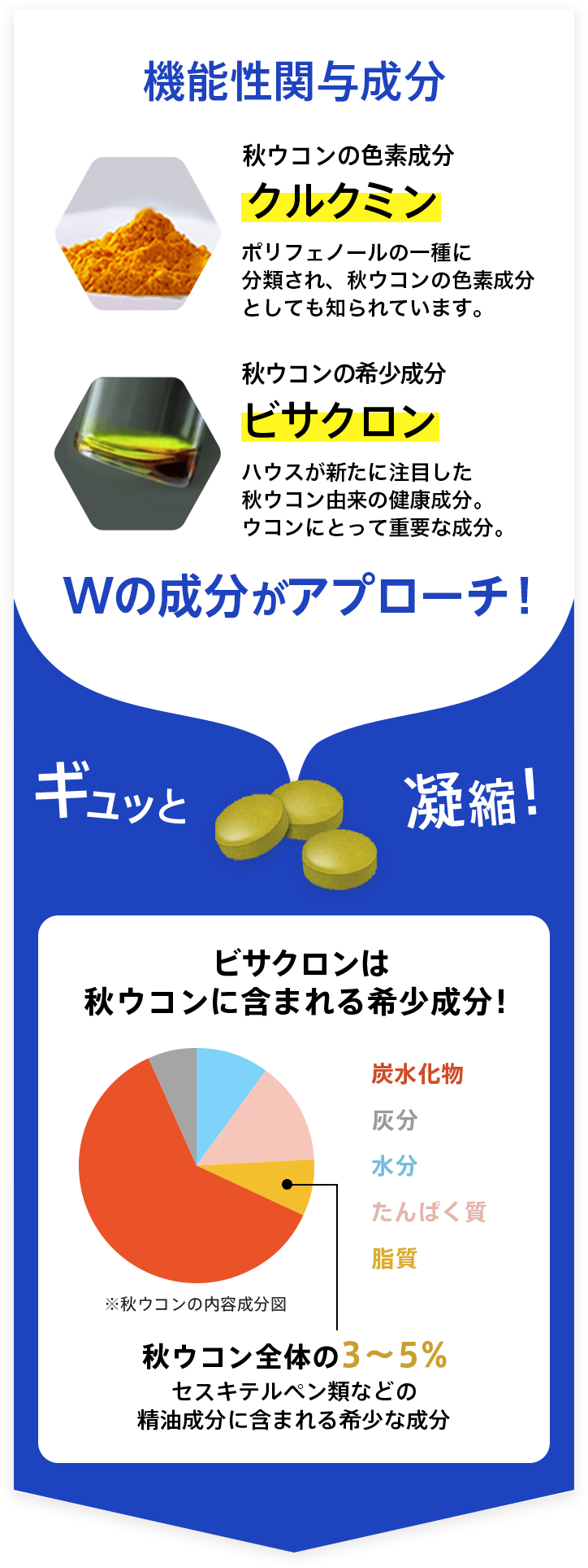 ハウス クルクミン&amp;ビサクロン 20日分(60粒)×13袋 ハウスウェルネスフーズ株式会社