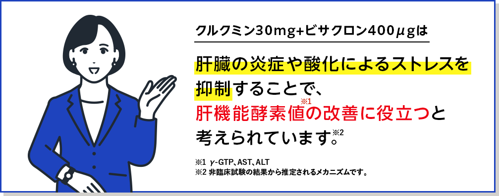 クルクミン30mg+ビサクロン400μgは肝臓の炎症や酸化によるストレスを抑制することで、肝機能酵素値の改善に役立つと考えられています。※1 γ-GTP、AST、ALT※2 非臨床試験の結果から推定されるメカニズムです。