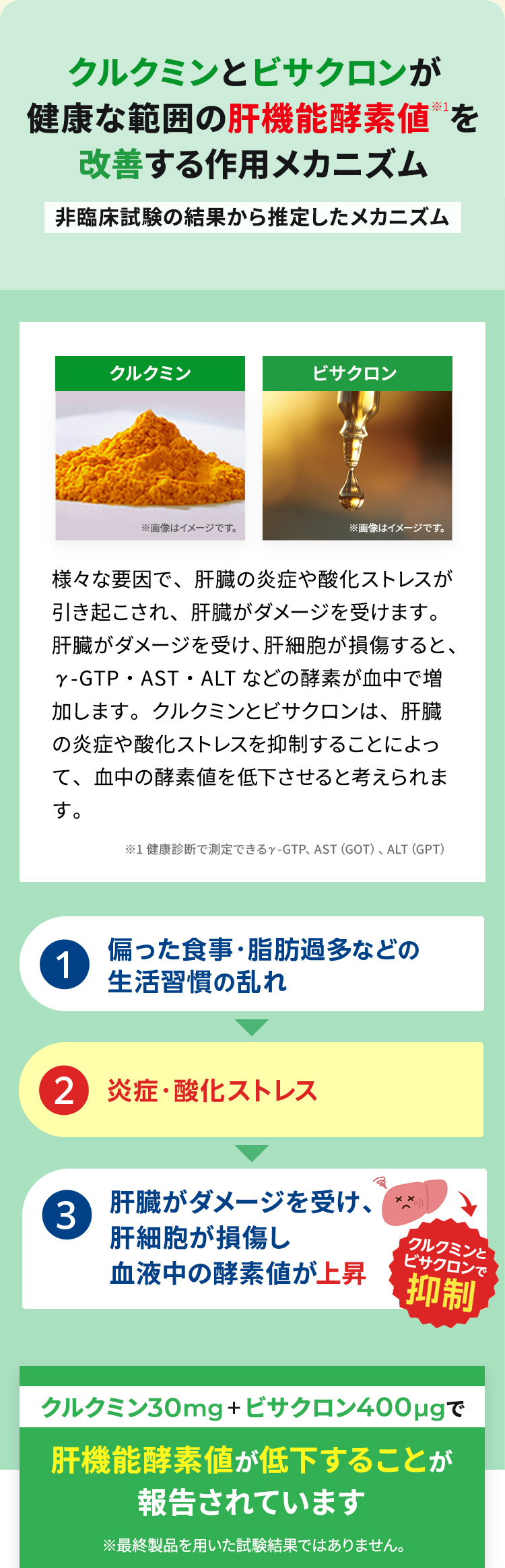 クルクミンとビサクロンが肝機能酵素値を改善する作用メカニズム