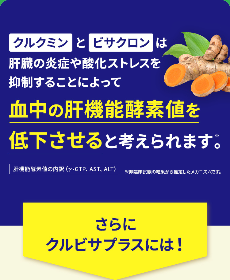 クルクミンとビサクロンは肝臓の炎症や酸化ストレスを抑制することによって血中の肝機能酵素値を低下させると考えられています。