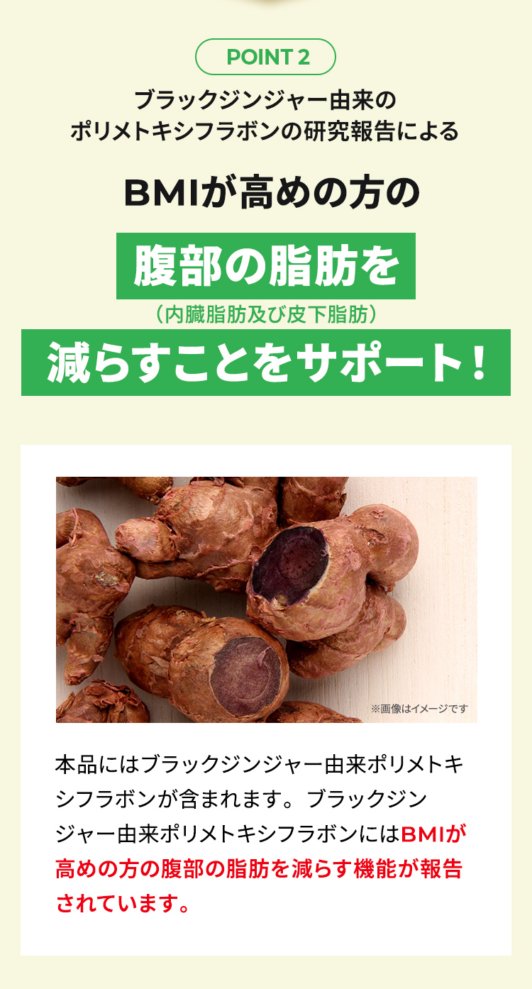 POINT2 ブラックジンジャー由来のポリメトキシフラボンの研究報告によるBMIが高めの方の腹部の脂肪を減らすことをサポート！